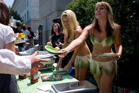 Miss  Laitue et feuille de vigne