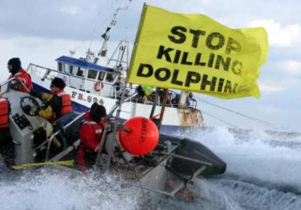 Côte d’Ivoire: dix dauphins “massacrés”, l’armateur traduit en justice