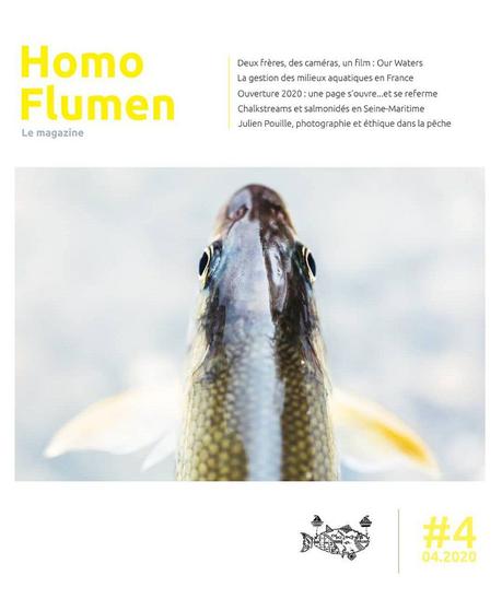 Homo Flumen #4