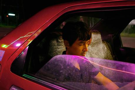 « Le lac aux oies sauvages » : un trip halluciné et poétique