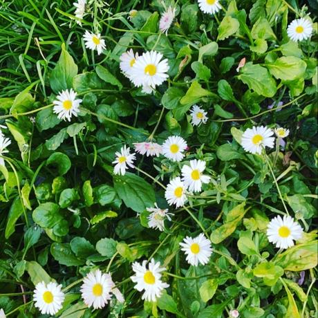 Pensées pour celles et ceux qui souffrent en ce jour de Pâques : maladie et solitude ne font pas de pont ! 954AA28F-28EF-48BD-8E74-FA8858CBFAEA.jpg