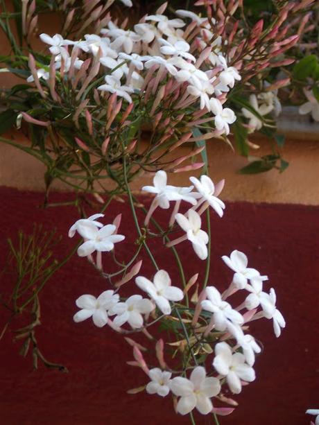 un dimanche comme ci