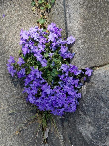 un dimanche comme ci