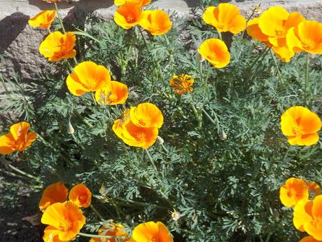 un dimanche comme ci