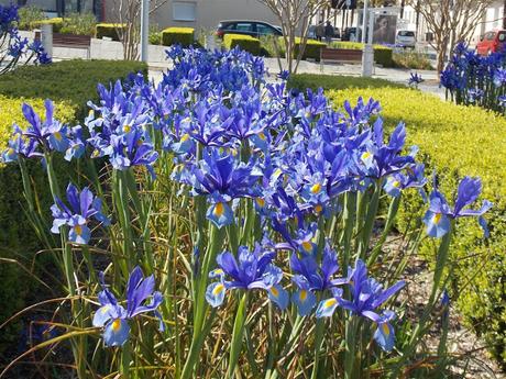 un dimanche comme ci