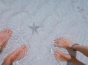 Animaux naturalisés, mâchoires dents requins