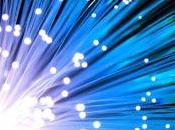 Fibre filière demande opérateurs l’Etat mesures soutien