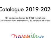 Optimisation Site Internet Inaccessible Agence Béthune