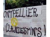 Optimisation Site Internet Telematin Agence Pointe-à-Pitre- Abymes