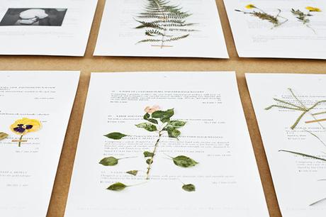 L'herbier de Camille Henrot L'herbier de Camille Henrot