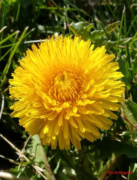 La photo du mois #114