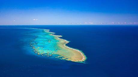 Recif corallien Nouvelle Caledonie