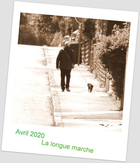 quand naît l'envie d'écrire