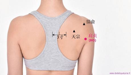 Le point Jian Zhen du méridien de l’intestin grêle (9IG)