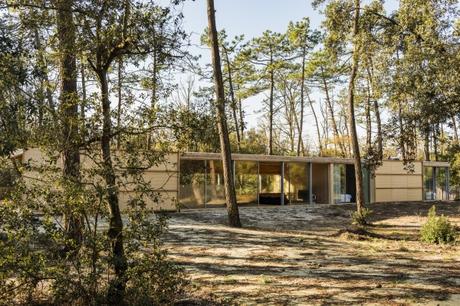 Villa en bois : architecture ouverte sur la pinède de Soulac-sur-Mer