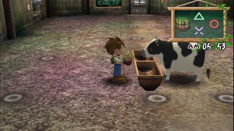Harvest Moon A Wonderful Life - PS2 (Natsume - Marvelous, 2005)