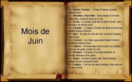 Divers - Les mois de l'année et leurs dictons - 1