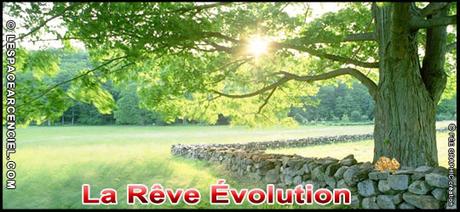 La Rêve Évolution