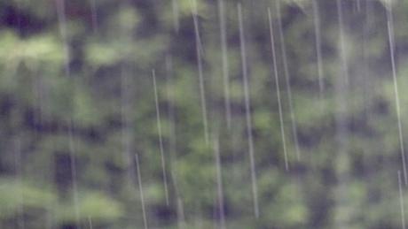 Première photo des vacances