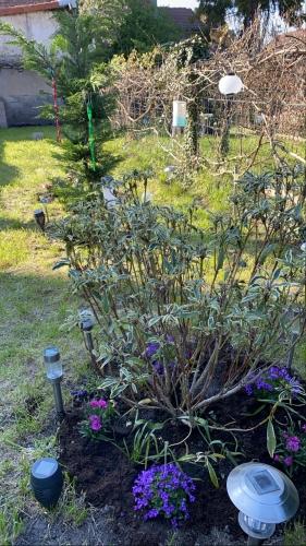 Le confinement m’aura permis de découvrir le jardinage :) Le confinement m’aura permis de découvrir le jardinage :)