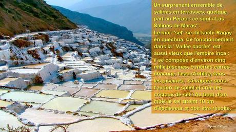 Pays Etranger - Le Perou