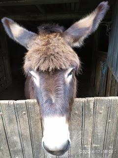 Samedi 19  Contraste