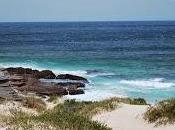 Dans l'ombre lumière