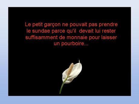 Divers - Petite histoire -  3