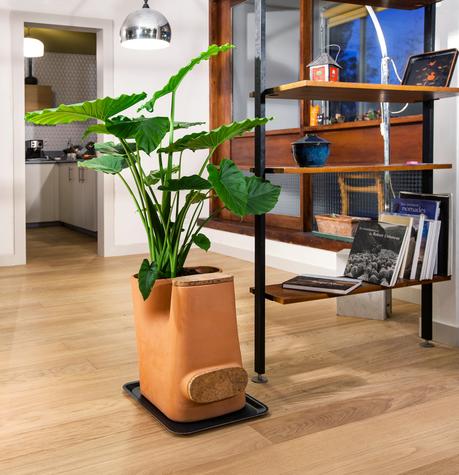 Crowdfunding : Transfarmers le Pot de Fleurs Composteur