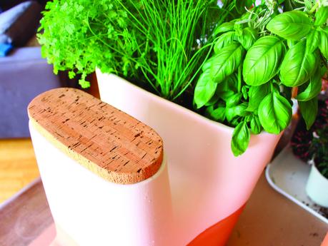 Crowdfunding : Transfarmers le Pot de Fleurs Composteur