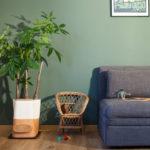 Crowdfunding : Transfarmers le Pot de Fleurs Composteur