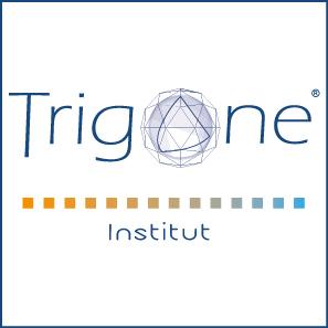 Optimisation : Site Internet Wix – Agence Webmarketing à Limoges