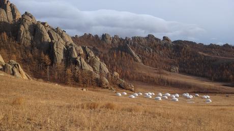 NOUVEAU VOYAGE INITIATIQUE EN MONGOLIE DISPONIBLE ! voyage initiatique en Mongolie