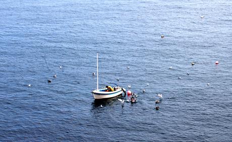 le blanc c'était hier le blanc c'était hier
