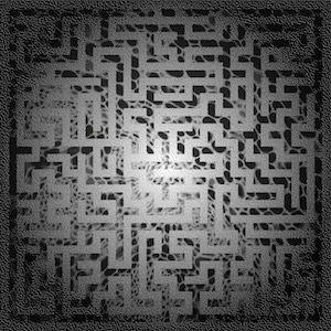 Sara Oswald & Feldermelder Sara Oswald & Feldermelder