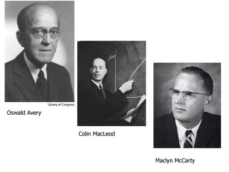 Oswald Avery, Colin Macleod et MacLynn McCarty Oswald Avery, Colin Macleod et MacLynn McCarty