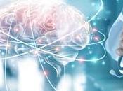 INTERFACE CERVEAU-MACHINE dotait d’une mémoire travail