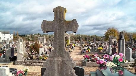 Coronavirus : le coût de l'incompétence