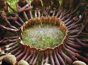 suis parce Nous sommes