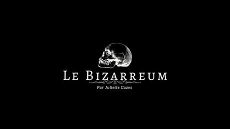 [GO FOLLOW] : Épisode #1. Le Bizarreum