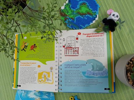 Dis Pourquoi ? Sauvons la planète de Mathilde Paris