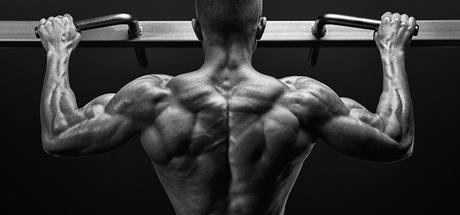 50 Tractions par Jour tractions-exercice-dorsaux