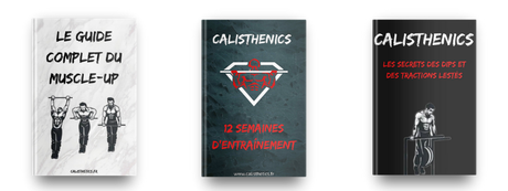 programmes calisthenics