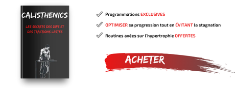 programme calisthenics lesté