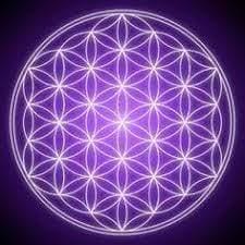 Fleur de vie Boutique