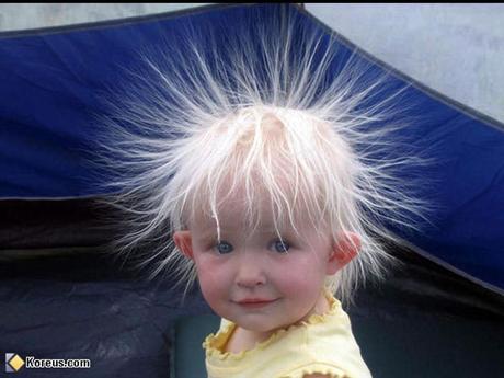 Divers - Tu ne vois pas ça tous les jours....