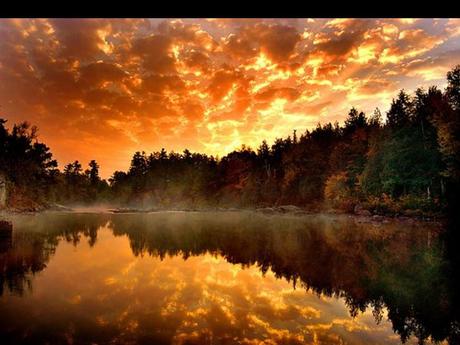 Divers - Tu ne vois pas ça tous les jours....