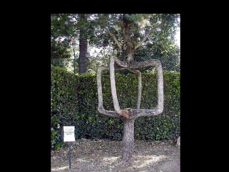 Divers - Tu ne vois pas ça tous les jours....