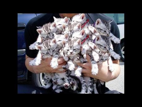 Divers - Tu ne vois pas ça tous les jours....