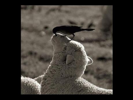 Divers - Tu ne vois pas ça tous les jours....